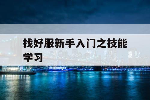 找好服新手入门之技能学习