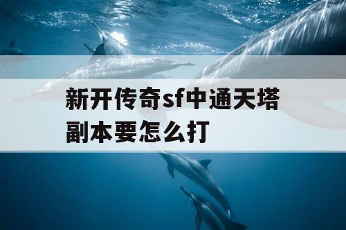 新开传奇sf中通天塔副本要怎么打