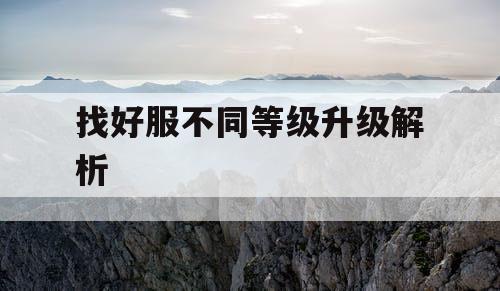 找好服不同等级升级解析