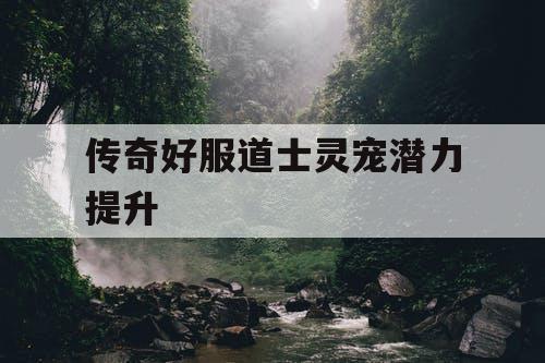 传奇好服道士灵宠潜力提升