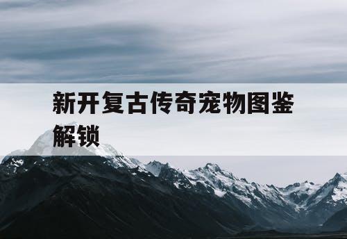 新开复古传奇宠物图鉴解锁