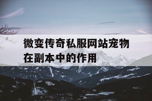 微变传奇私服网站宠物在副本中的作用
