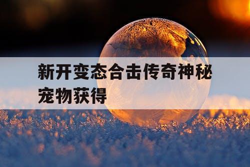 新开变态合击传奇神秘宠物获得