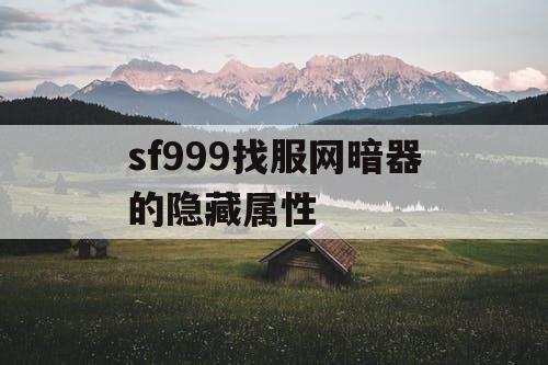 sf999找服网暗器的隐藏属性