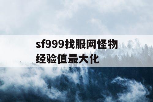 sf999找服网怪物经验值最大化