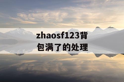 zhaosf123背包满了的处理