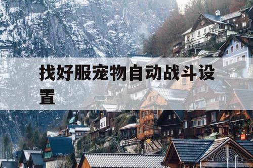 找好服宠物自动战斗设置
