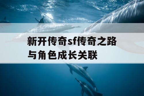 新开传奇sf传奇之路与角色成长关联