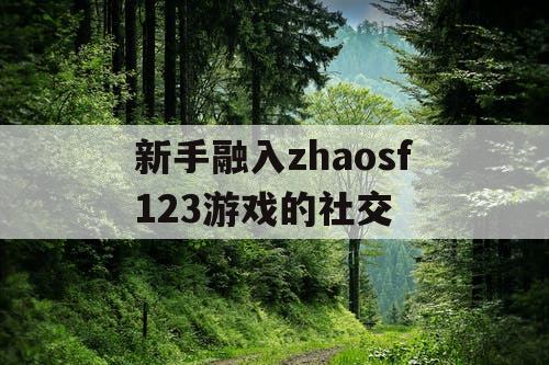 新手融入zhaosf123游戏的社交