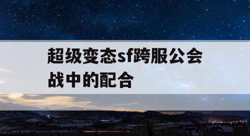超级变态sf跨服公会战中的配合