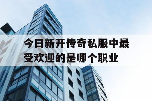 今日新开传奇私服中最受欢迎的是哪个职业