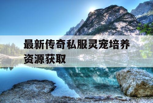 最新传奇私服灵宠培养资源获取