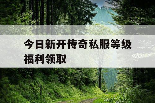 今日新开传奇私服等级福利领取