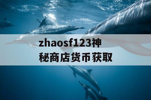 zhaosf123神秘商店货币获取