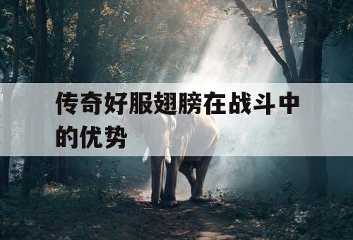 传奇好服翅膀在战斗中的优势