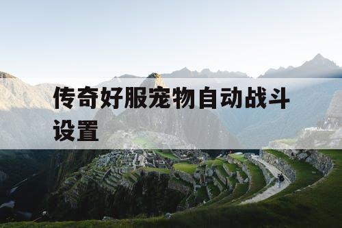 传奇好服宠物自动战斗设置