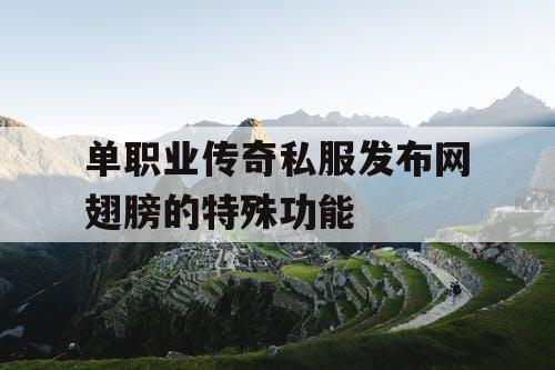 单职业传奇私服发布网翅膀的特殊功能