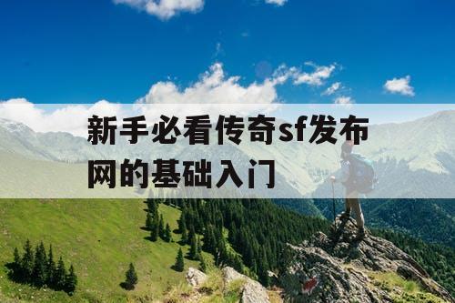 新手必看传奇sf发布网的基础入门