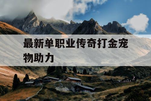 最新单职业传奇打金宠物助力