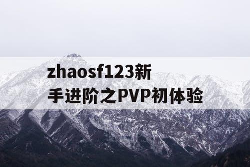 zhaosf123新手进阶之PVP初体验