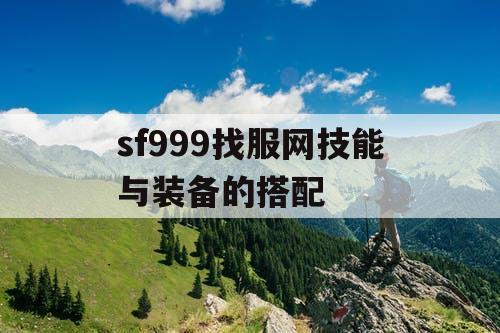 sf999找服网技能与装备的搭配