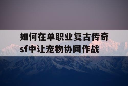 如何在单职业复古传奇sf中让宠物协同作战 如何在单职业复古传奇sf中让宠物协同作战