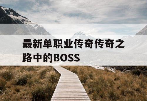 最新单职业传奇传奇之路中的BOSS